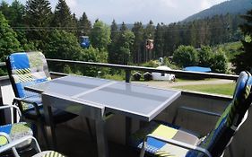 Ferienwohnung Downhill am Bocksberg